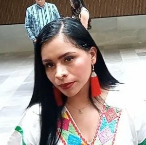 Congreso de Puebla alista Ley de Participación Ciudadana