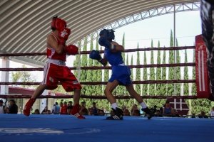 Gobierno de Pepe Chedraui desarrolla la sexta y s&eacute;ptima funci&oacute;n del Torneo de Barrios de Box 2026