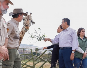 Gobernador Céspedes da bienvenida a la jirafa “Benito”