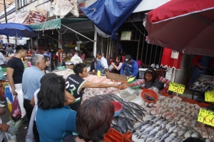 Analiza la Comuna de Puebla peatonizar la 16 septiembre y zonas de venta de pescados