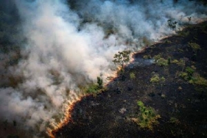 Rompe récord los niveles de deforestación en Brasil por altas temperaturas
