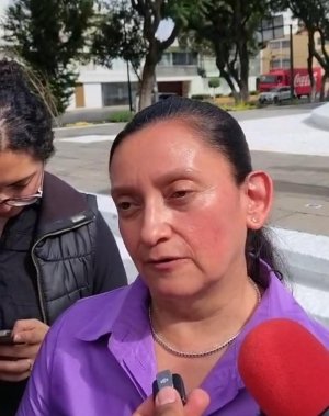 Partidos deber&aacute;n evitar postular perfiles vinculados con el crimen: INE