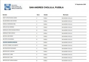 Homicida de los Tello Ru&iacute;z era miembro del PAN