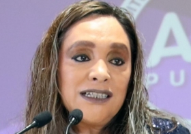 Amanda Gómez Nava, otra responsable de los fraudes cometidos por Teresa Castro