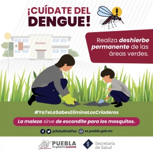 Reporta Salud 32 nuevos contagios por dengue